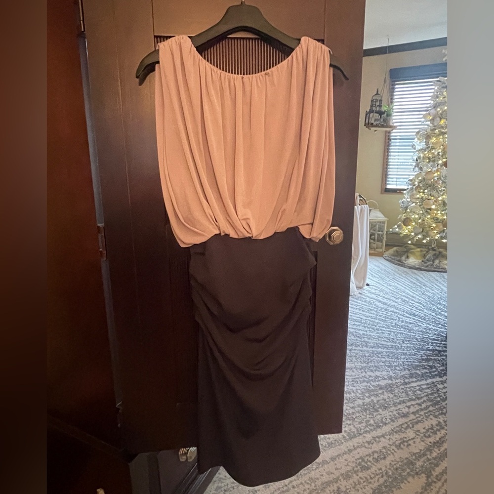 Suzi Chin Dress